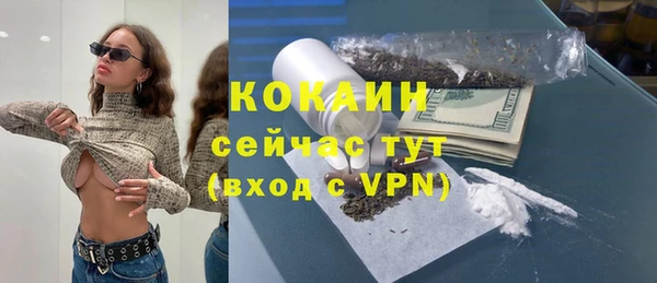 прущие крисы Бородино