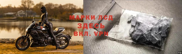 прущие крисы Бородино
