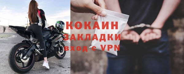 прущие крисы Бородино