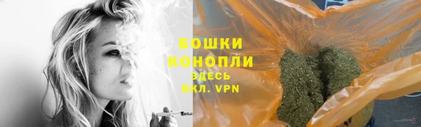 стаф Бронницы