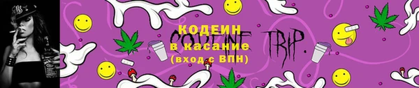 прущие крисы Бородино