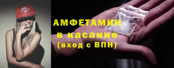 прущие крисы Бородино