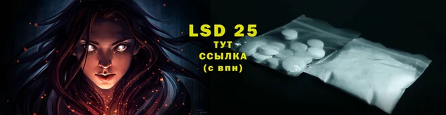стаф Бронницы